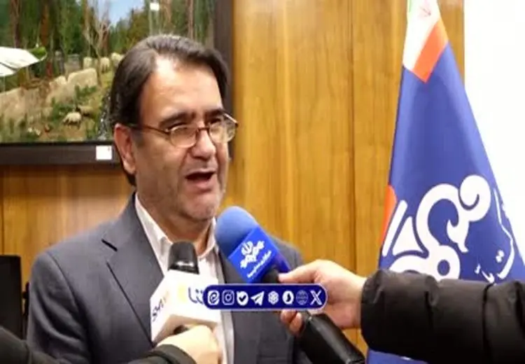 تکذیب عدم بازگشت ۸ میلیارد دلار ارز نفتی به کشور