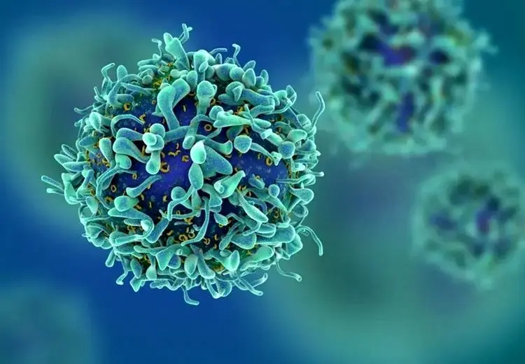 جوان‌سازی با مهندسی بدن موش‌ها!