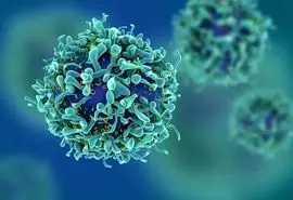 جوان‌سازی با مهندسی بدن موش‌ها!