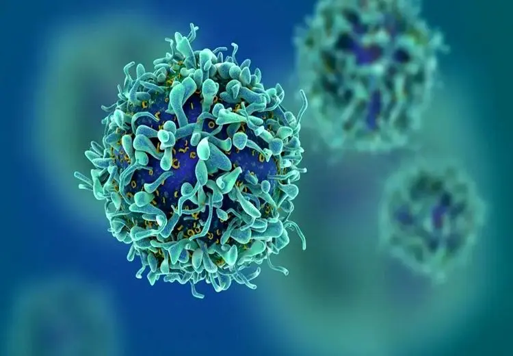 جوان‌سازی با مهندسی بدن موش‌ها!