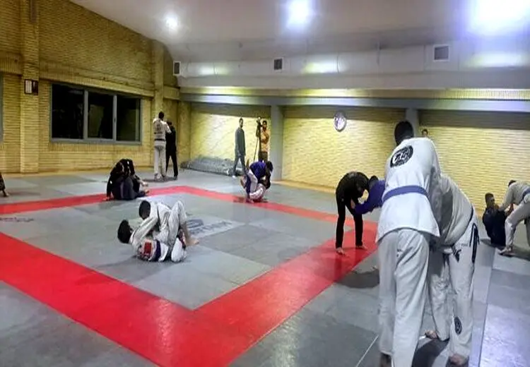 تنها برای کسب مدال طلا به هانگژو می‌روم