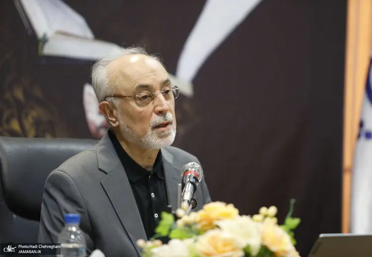 علی‌اکبر صالحی: دولت منتخب راه شهید امیرعبداللهیان را ادامه دهد