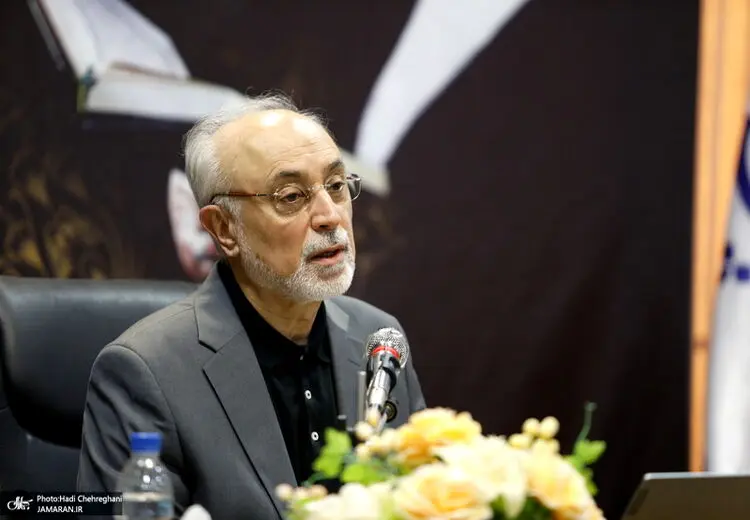 علی‌اکبر صالحی: دولت منتخب راه شهید امیرعبداللهیان را ادامه دهد