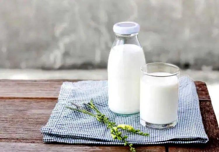 بهترین زمان نوشیدن شیر برای کاهش وزن چه وقت است؟