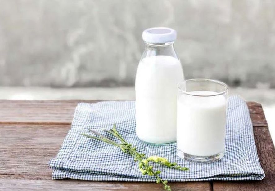 بهترین زمان نوشیدن شیر برای کاهش وزن چه وقت است؟