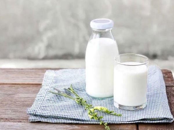 بهترین زمان نوشیدن شیر برای کاهش وزن چه وقت است؟