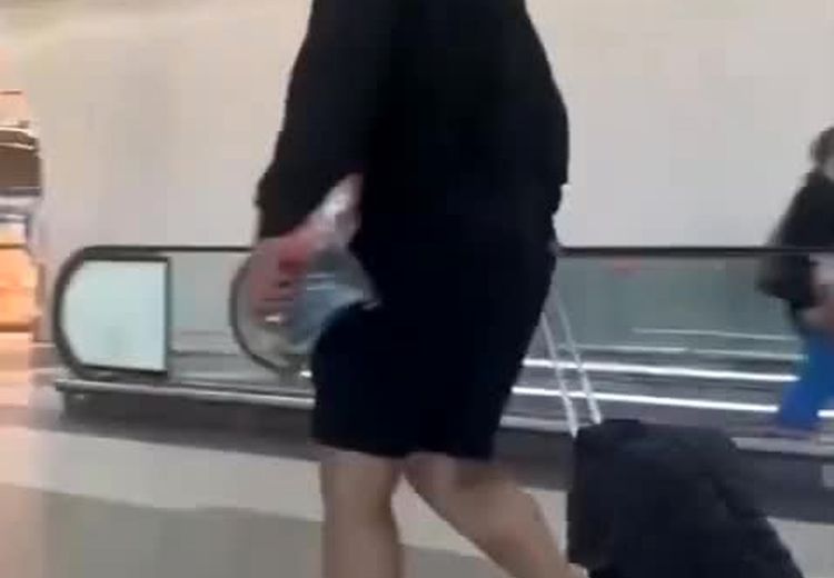  پژمان جمشیدی در فرودگاه کانادا رویت شد