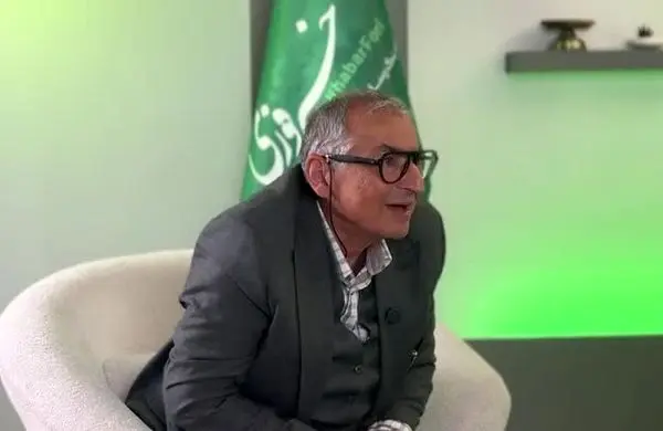 زیباکلام: این نظام اگر سقوط کند ما بیچاره می‌شویم