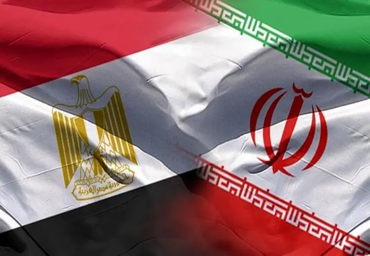 درخواست ظریف از وزیر خارجه مصر چه بود؟