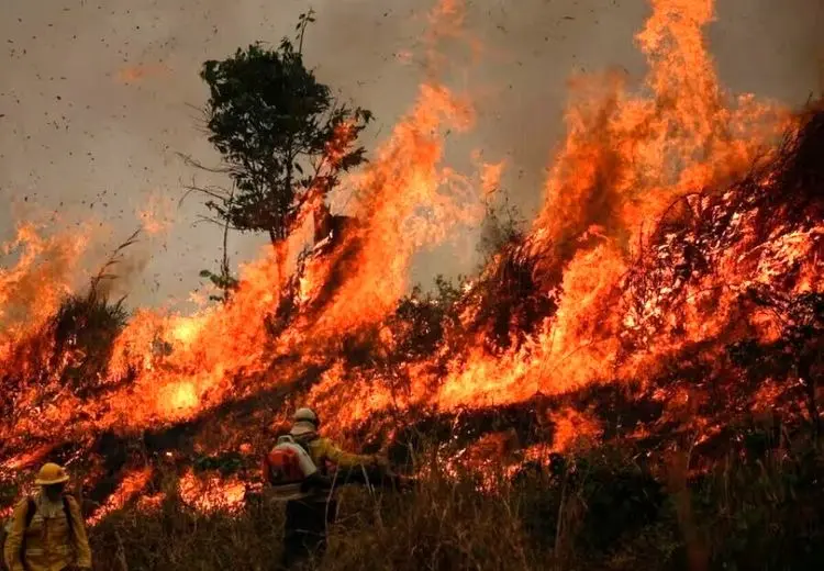 دخالت انسان در آتش‌سوزی الیت قطعی است