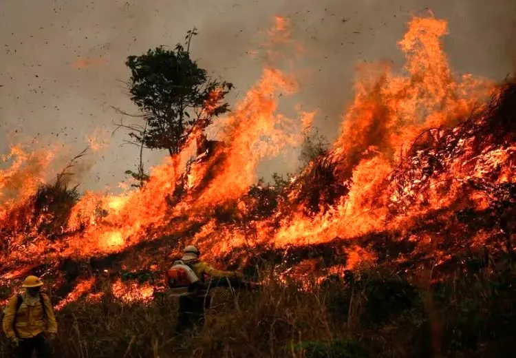 دخالت انسان در آتش‌سوزی الیت قطعی است