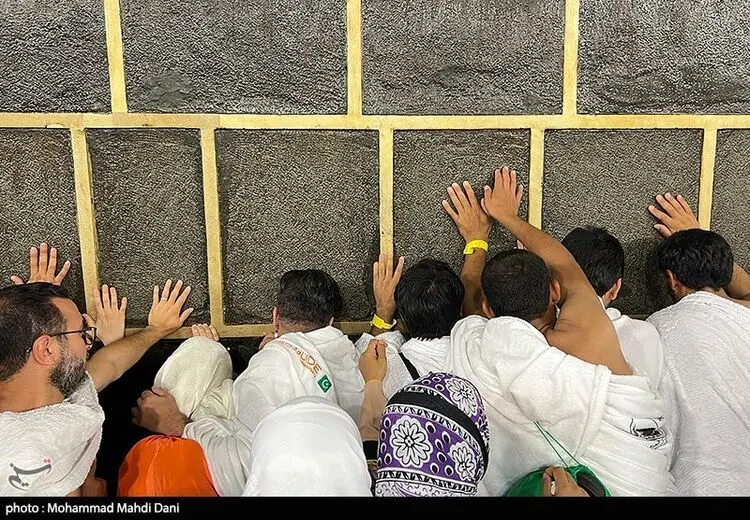 تاکنون چند حاجی ایرانی فوت شده‌اند؟