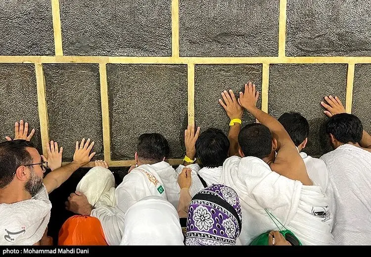 تاکنون چند حاجی ایرانی فوت شده‌اند؟