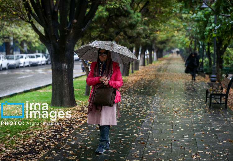 این استان‌ها امروز بارانی می‌بینند