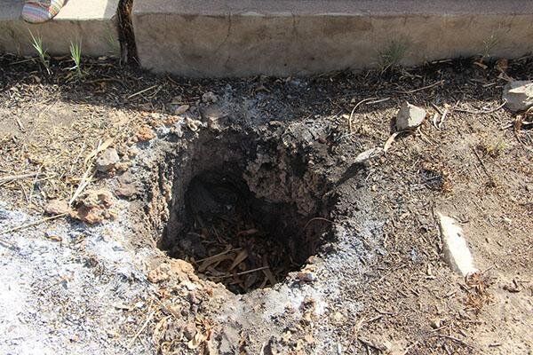 تعرض به گورستان هزار سالۀ شیراز