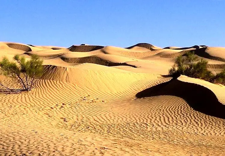 ۱۰ گردشگر در کویر طبس گم شدند