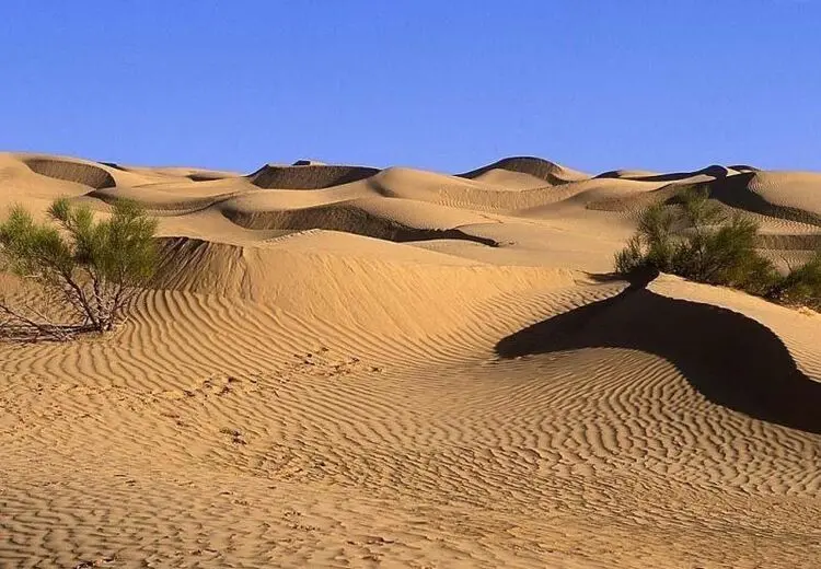 ۱۰ گردشگر در کویر طبس گم شدند