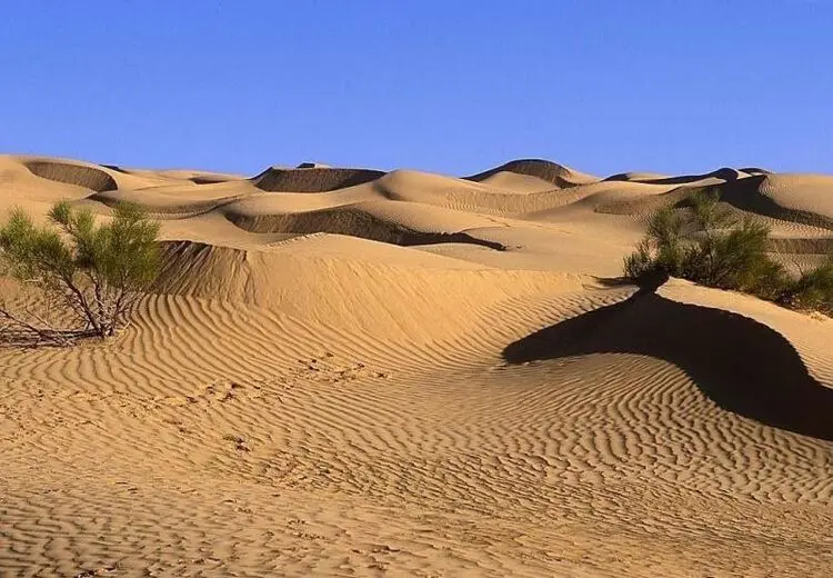 ۱۰ گردشگر در کویر طبس گم شدند