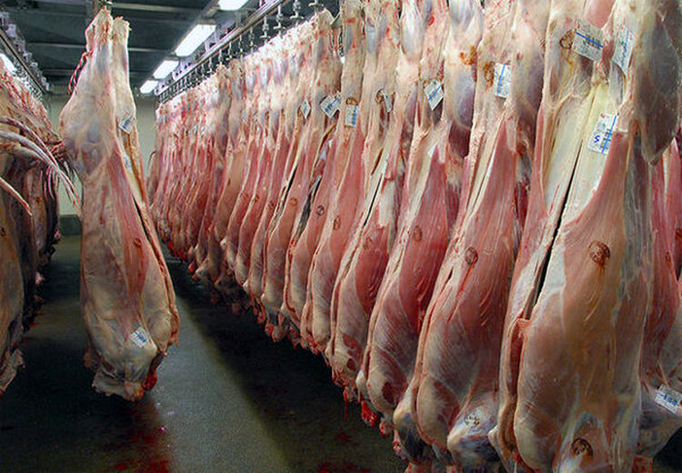 قیمت گوشت قرمز امروز ۷ مرداد چند است؟