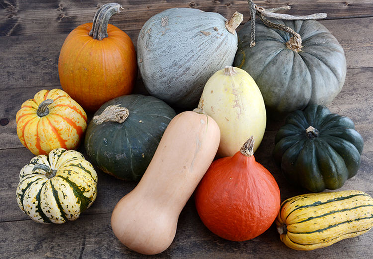 خواص جادویی کدو حلوایی