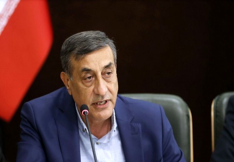 قائم‌پناه: کوچک‌سازی دولت از دستور کار خارج نشده است