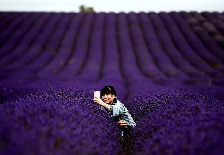 سلفی با اسطوخودوس