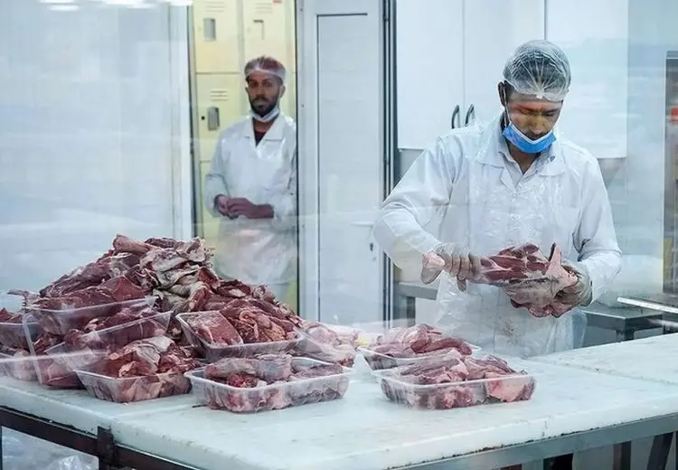 ادامه ماجرای جنجالی واردات گوشت‌‌ آلوده از مغولستان