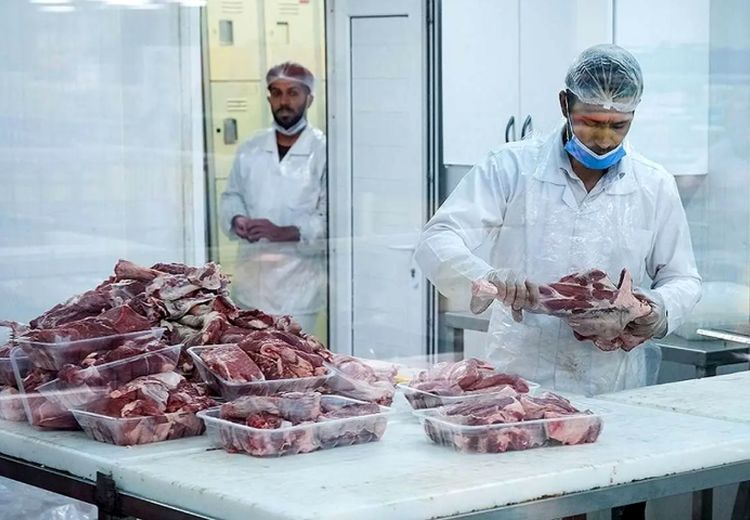 ادامه ماجرای جنجالی واردات گوشت‌‌ آلوده از مغولستان