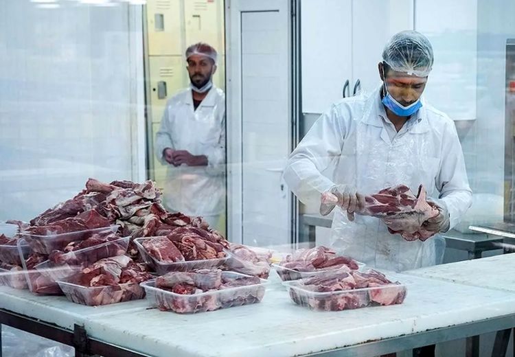 ادامه ماجرای جنجالی واردات گوشت‌‌ آلوده از مغولستان