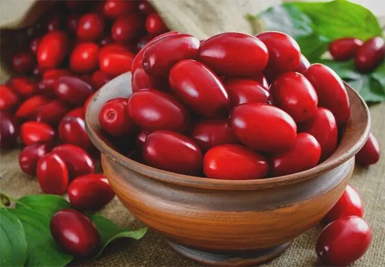 زغال اخته بخورید تا به زوال عقل دچار نشوید