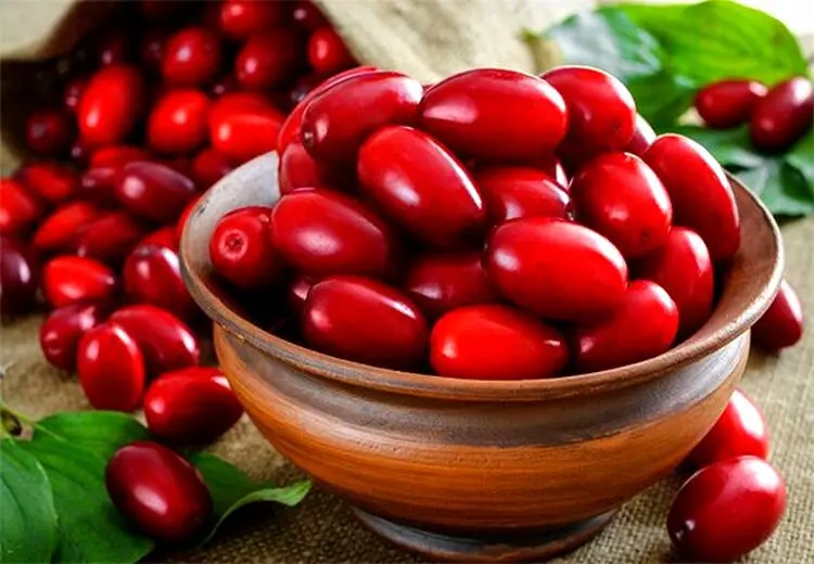 زغال اخته بخورید تا به زوال عقل دچار نشوید