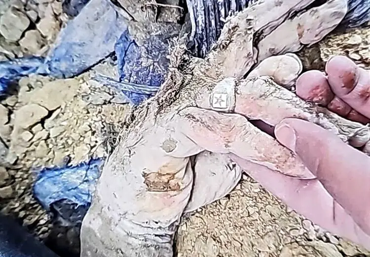 تصویری از دست علی لاریجانی پس از شهادت