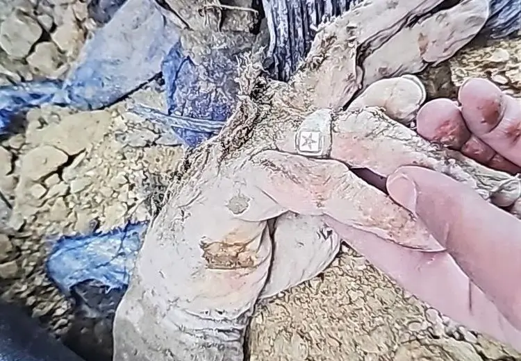 تصویری از دست علی لاریجانی پس از شهادت