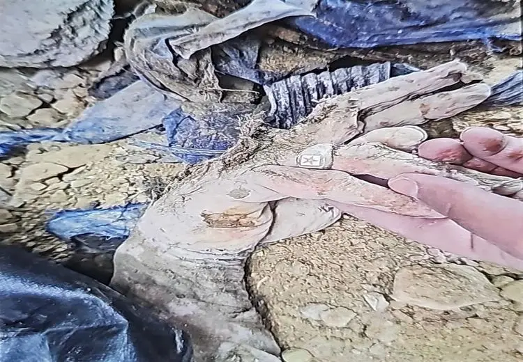 تصویری از دست علی لاریجانی پس از شهادت