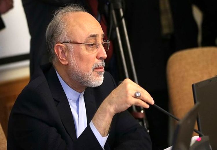 صالحی: شورای عالی امنیت ملی درباره عوامل خرابکاری حادثه نطنز نظر می‌دهد