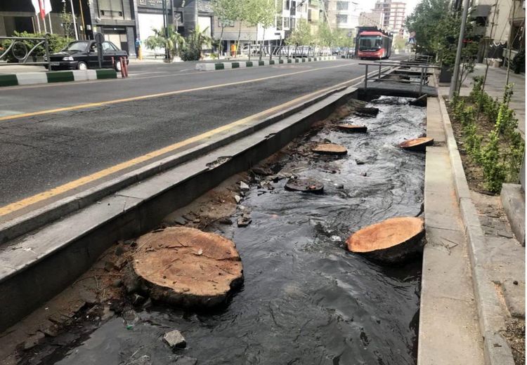 باز هم قطع درختان خیابان ولیعصر در تهران/ عکس
