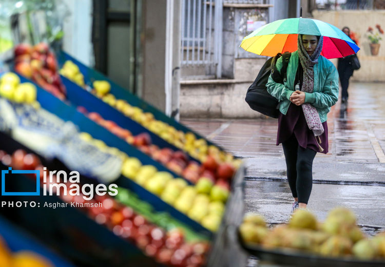 تصاویری از باران پاییزی در تهران