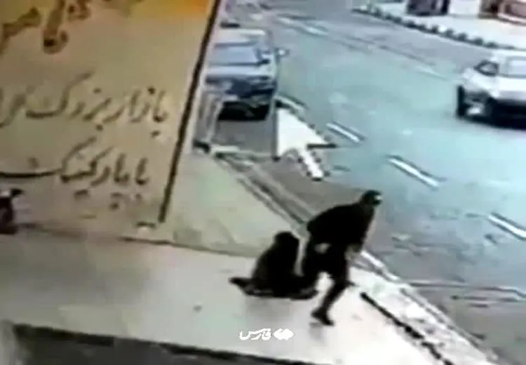 دستگیری عاملان گردنبندقاپی از یک مادر بچه‌بغل/ فیلم
