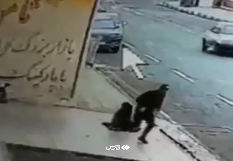 دستگیری عاملان گردنبندقاپی از یک مادر بچه‌بغل/ فیلم