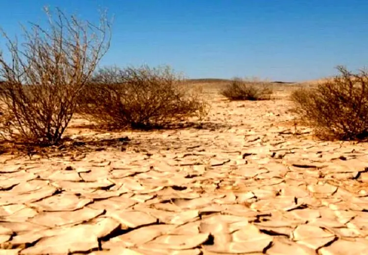 نجات مرد گمشده در بیابان بعد از 2 روز سرگردانی