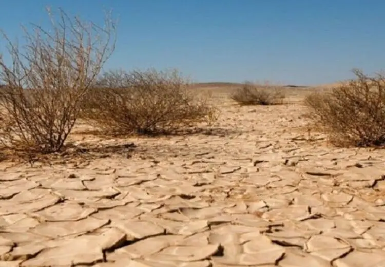 نجات مرد گمشده در بیابان بعد از 2 روز سرگردانی