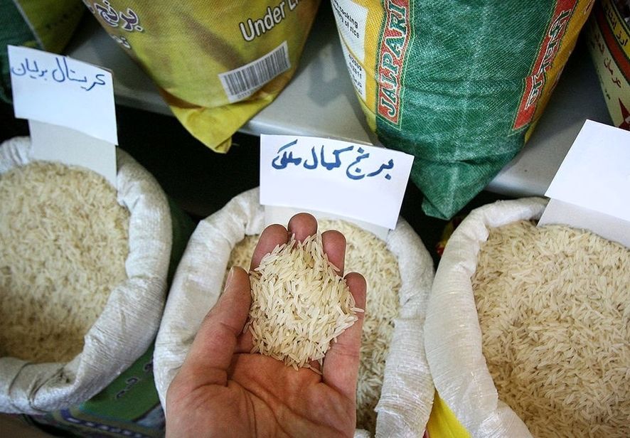 برنج ایرانی گران شد/ علت چیست؟