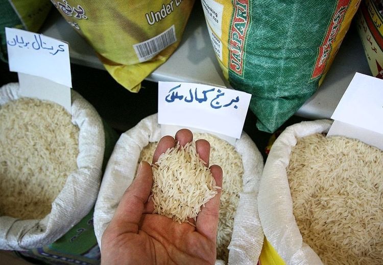 برنج ایرانی گران شد/ علت چیست؟