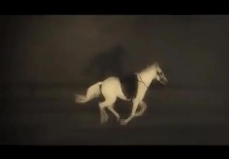 فیلم/ "نذر خون" محسن چاوشی برای ادای دین به اهل کربلا