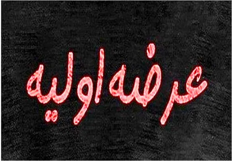 کدام شرکت‌ها در صف عرضه اولیه هستند؟