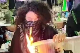 واکنش جالب ظریف به دختری که عکس او را آتش زد: دخترم! در خیابان بمان و بیاد رهبر شهید سرود ایران بخوان