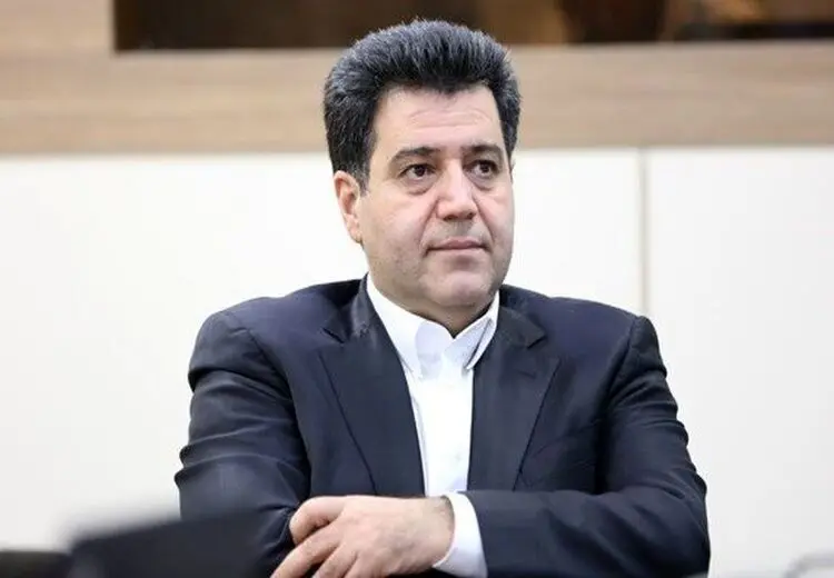 حسین سلاح‌ورزی: بگذارید بخش خصوصی امتحان کند