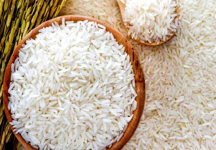 کاهش 20 درصدی قیمت برنج شمال 