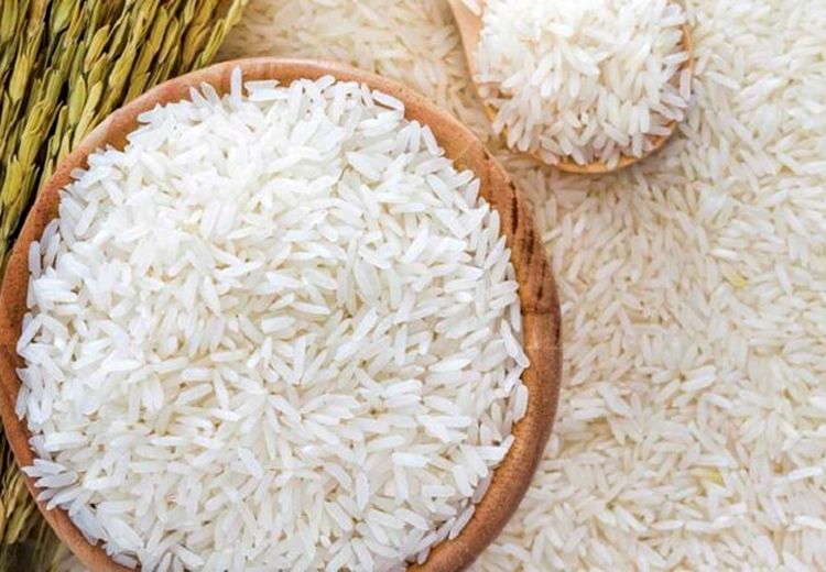 کاهش 20 درصدی قیمت برنج شمال 