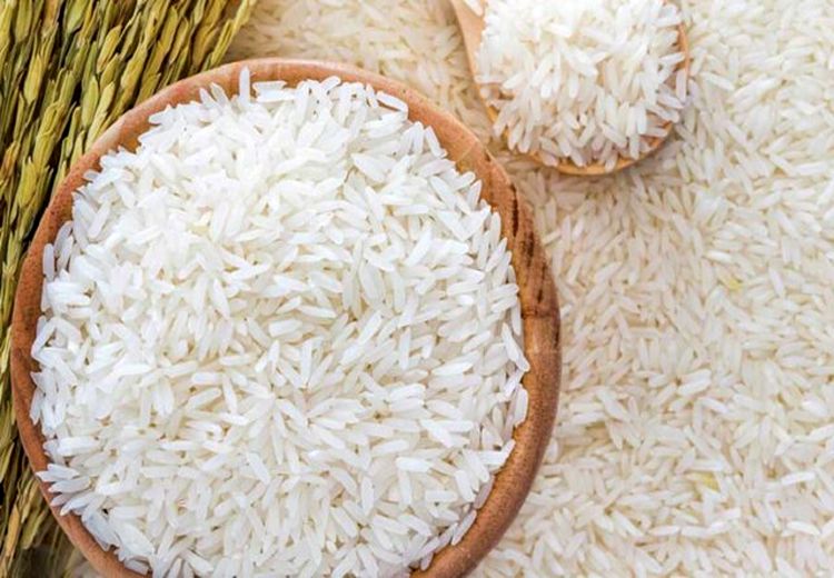کاهش 20 درصدی قیمت برنج شمال 